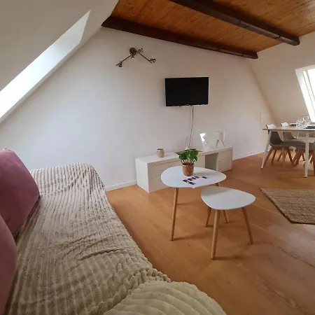 For 1-2 People With Rhine View