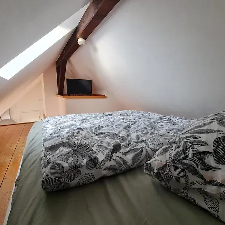 Appartement For 1-2 People With Rhine View