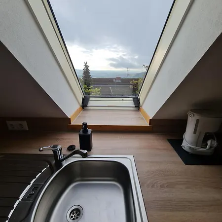 Appartement For 1-2 People With Rhine View