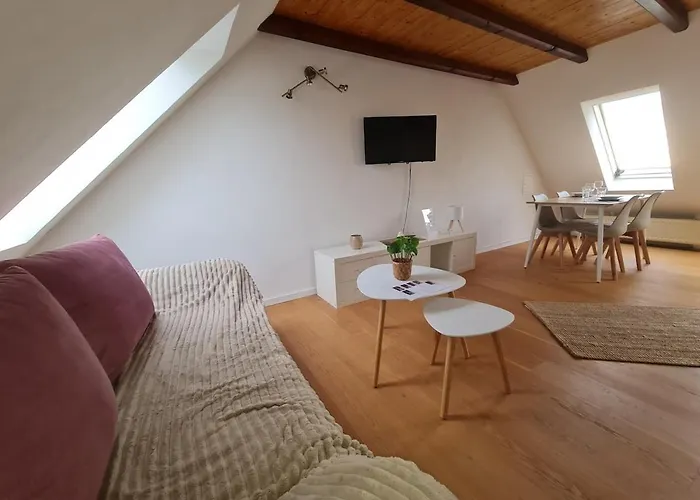 For 1-2 People With Rhine View