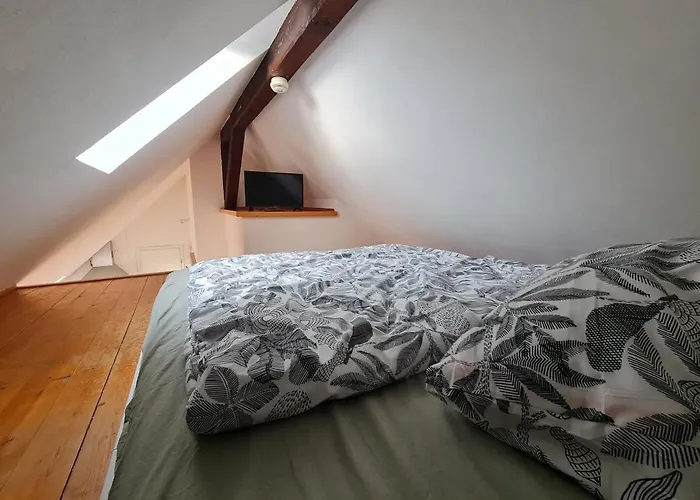 Апартаменты For 1-2 People With Rhine View