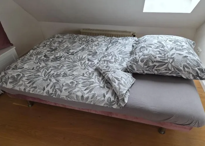 Апартаменты For 1-2 People With Rhine View