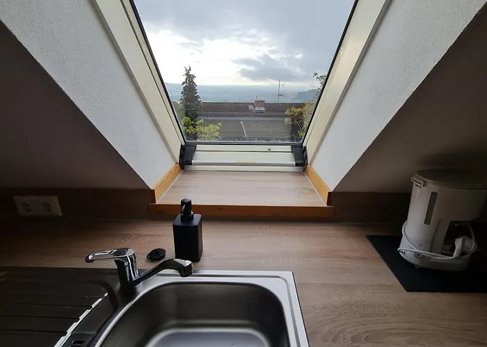 Апартаменты For 1-2 People With Rhine View